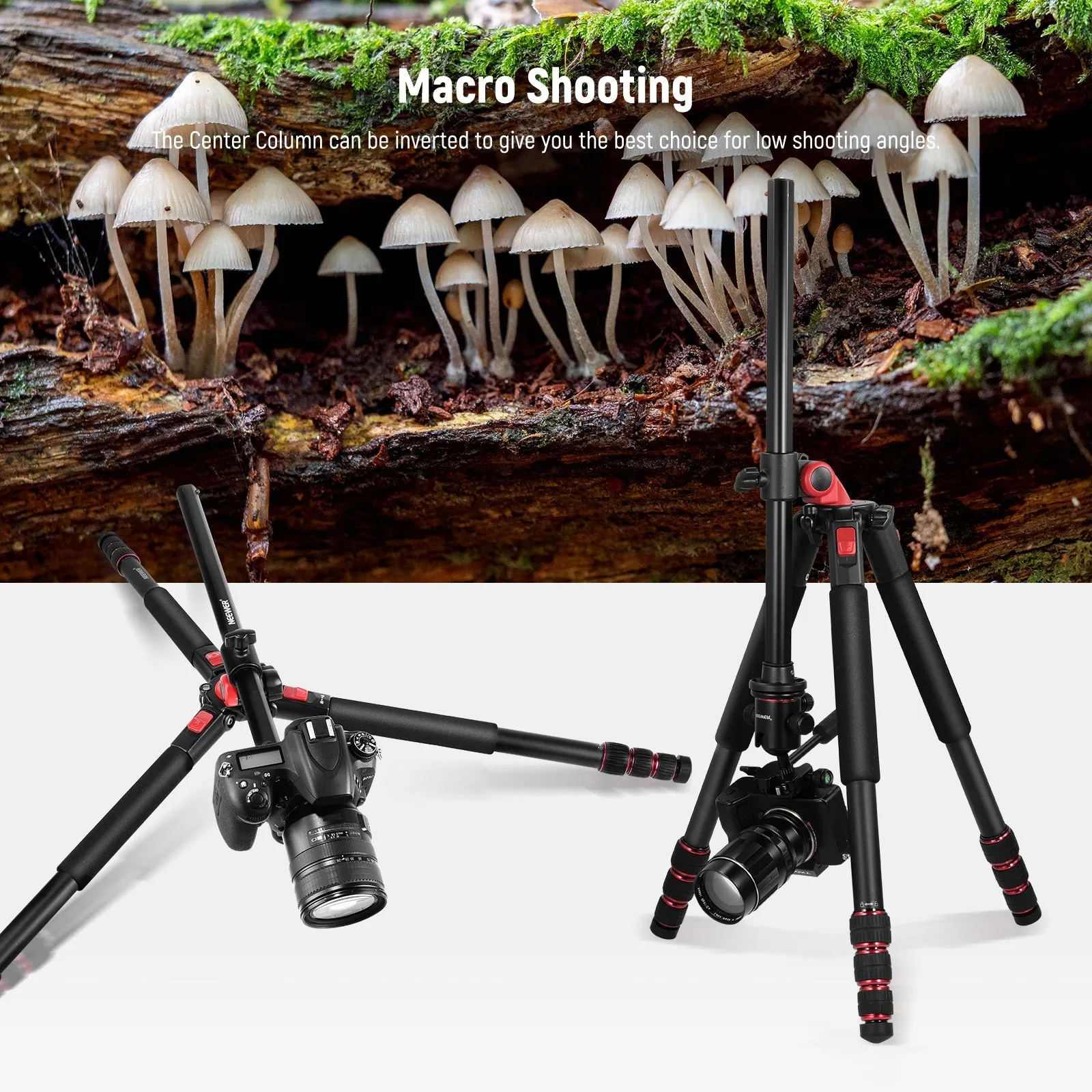 NEEWER TP27 73.6" Horizontal Tripod